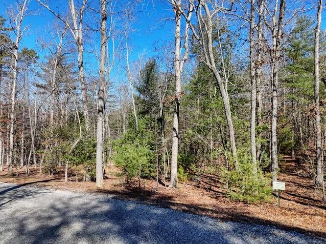 Tract 3 Mauney Circle, Blairsville GA 30512 - Photo