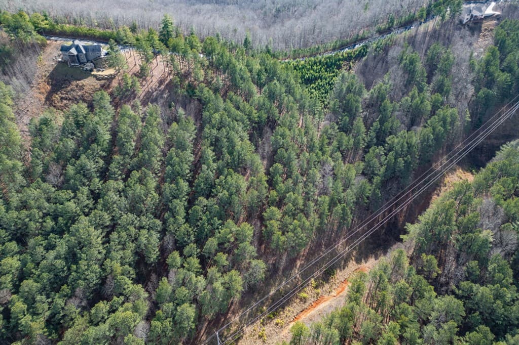 Lot 74 Thirteen Hundred, Blairsville GA 30512 - Photo
