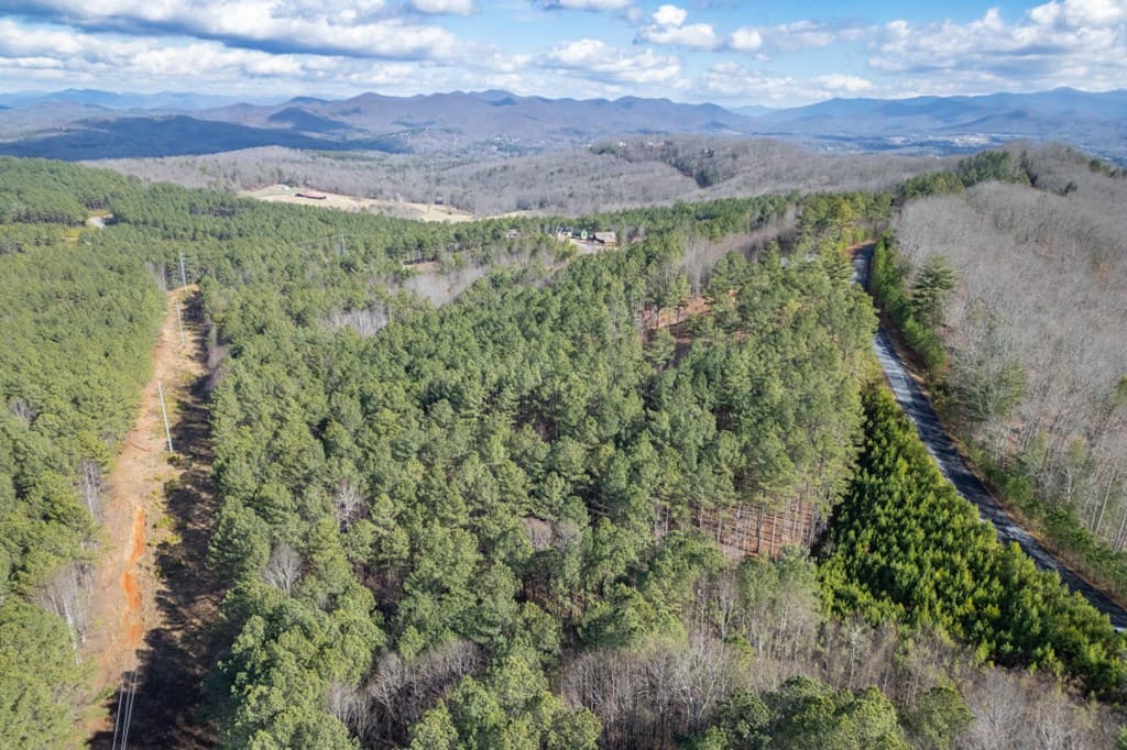 Lot 74 Thirteen Hundred, Blairsville GA 30512 - Photo