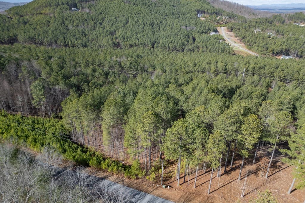 Lot 74 Thirteen Hundred, Blairsville GA 30512 - Photo