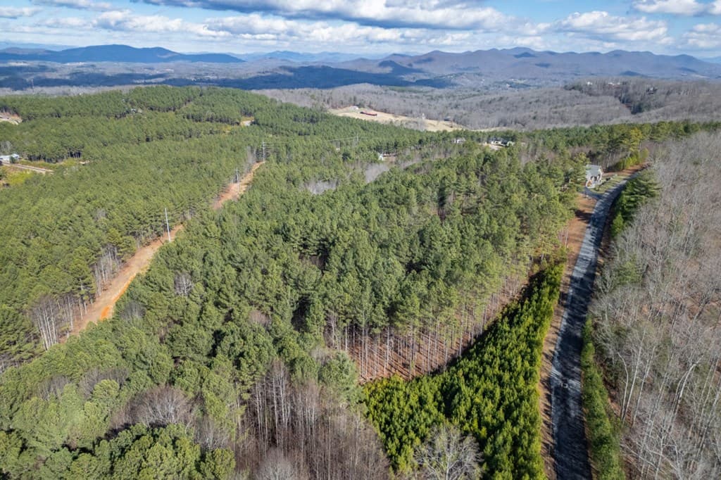 Lot 74 Thirteen Hundred, Blairsville GA 30512 - Photo