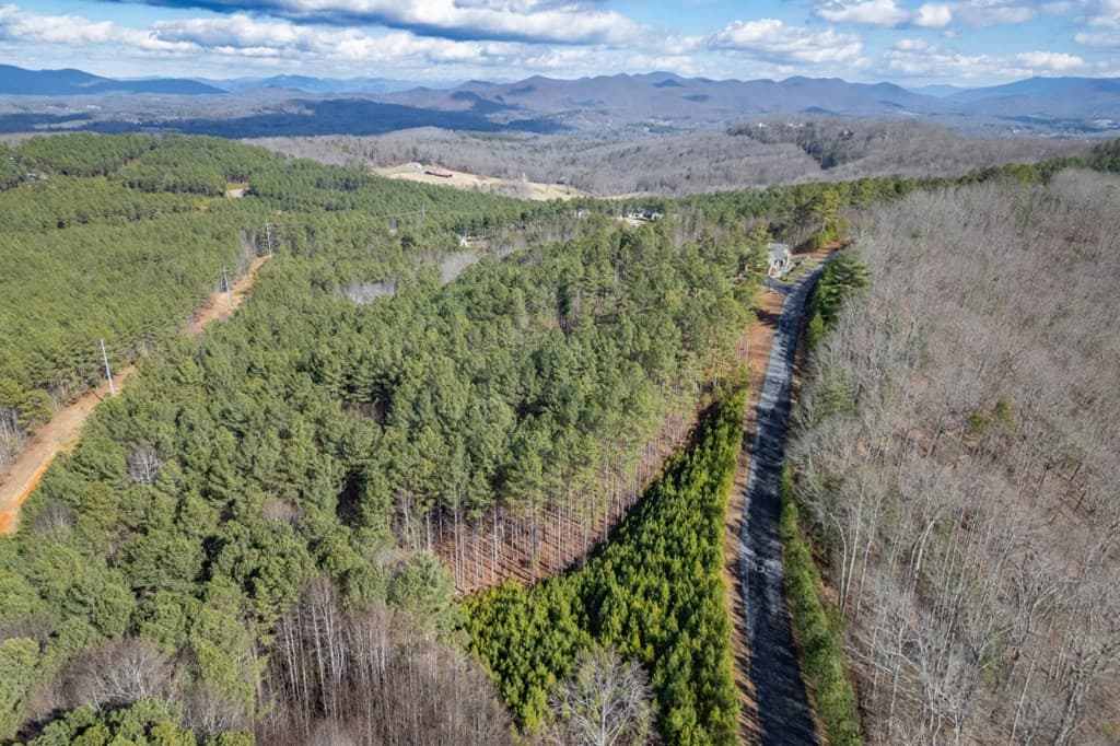 Lot 74 Thirteen Hundred, Blairsville GA 30512 - Photo