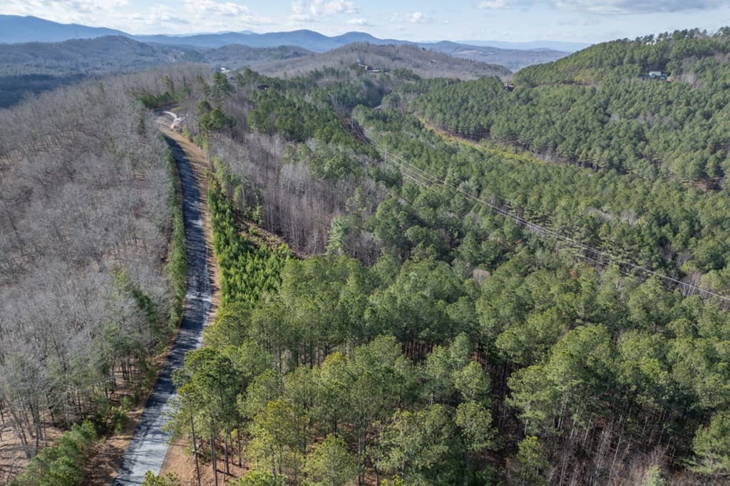 Lot 74 Thirteen Hundred, Blairsville GA 30512 - Photo