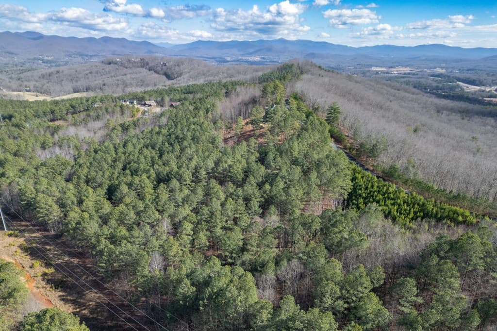 Lot 74 Thirteen Hundred, Blairsville GA 30512 - Photo