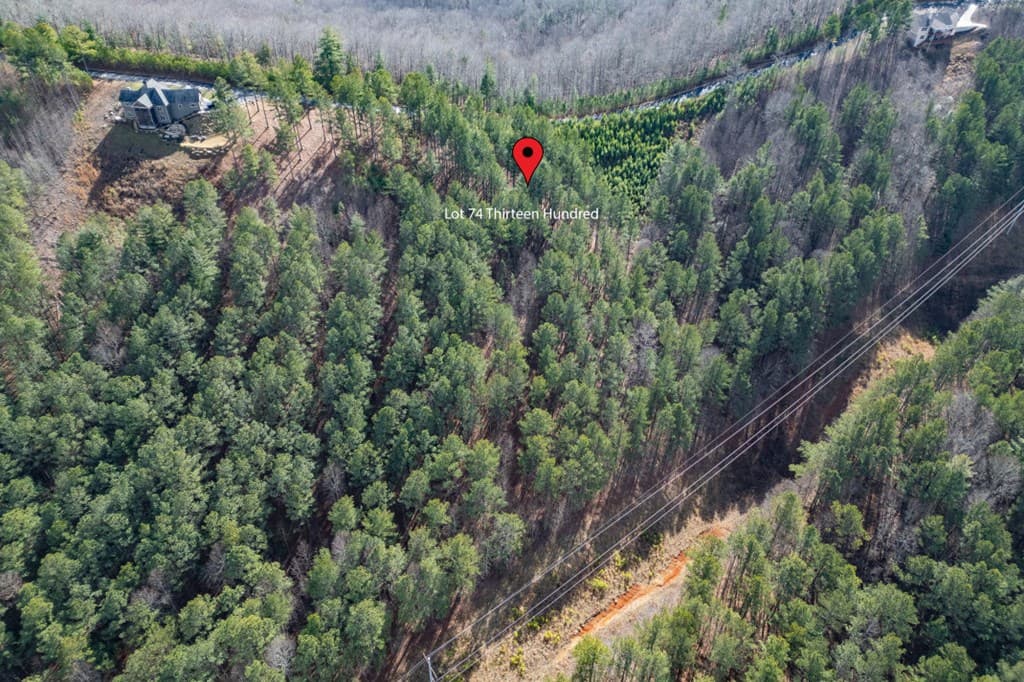 Lot 74 Thirteen Hundred, Blairsville GA 30512 - Photo