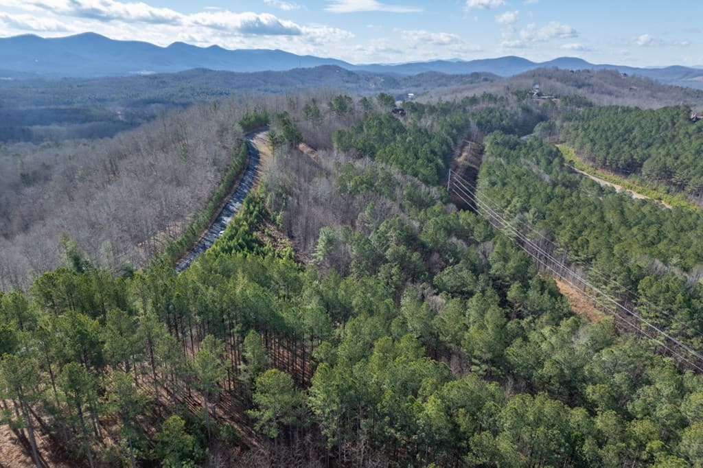 Lot 74 Thirteen Hundred, Blairsville GA 30512 - Photo