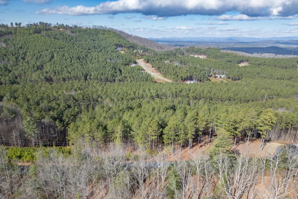 Lot 74 Thirteen Hundred, Blairsville GA 30512 - Photo
