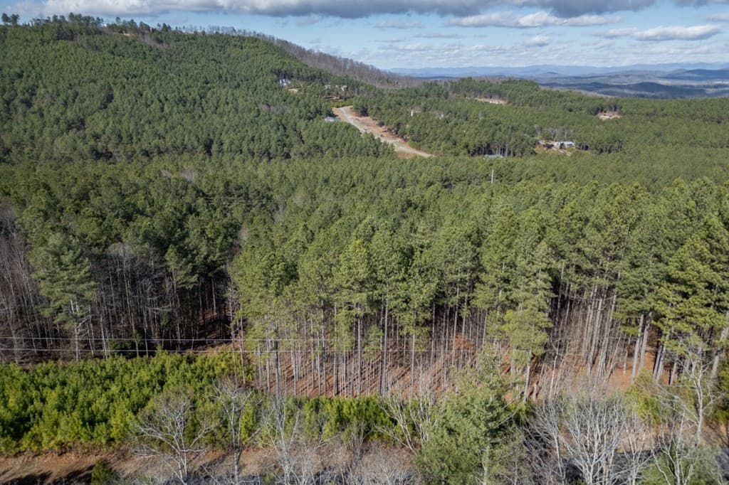 Lot 74 Thirteen Hundred, Blairsville GA 30512 - Photo