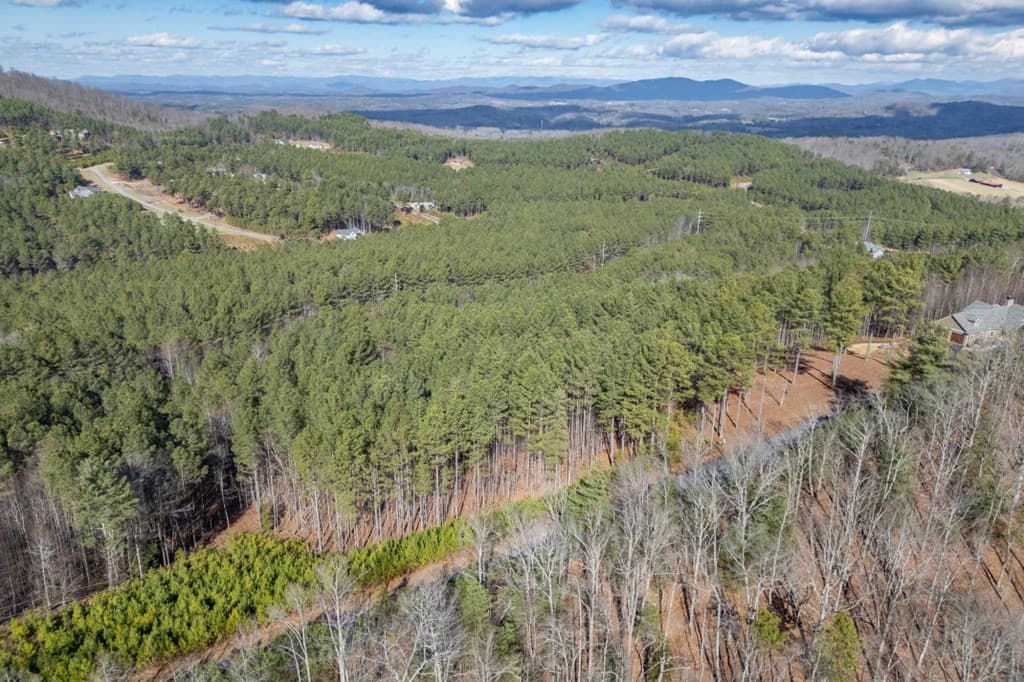 Lot 74 Thirteen Hundred, Blairsville GA 30512 - Photo