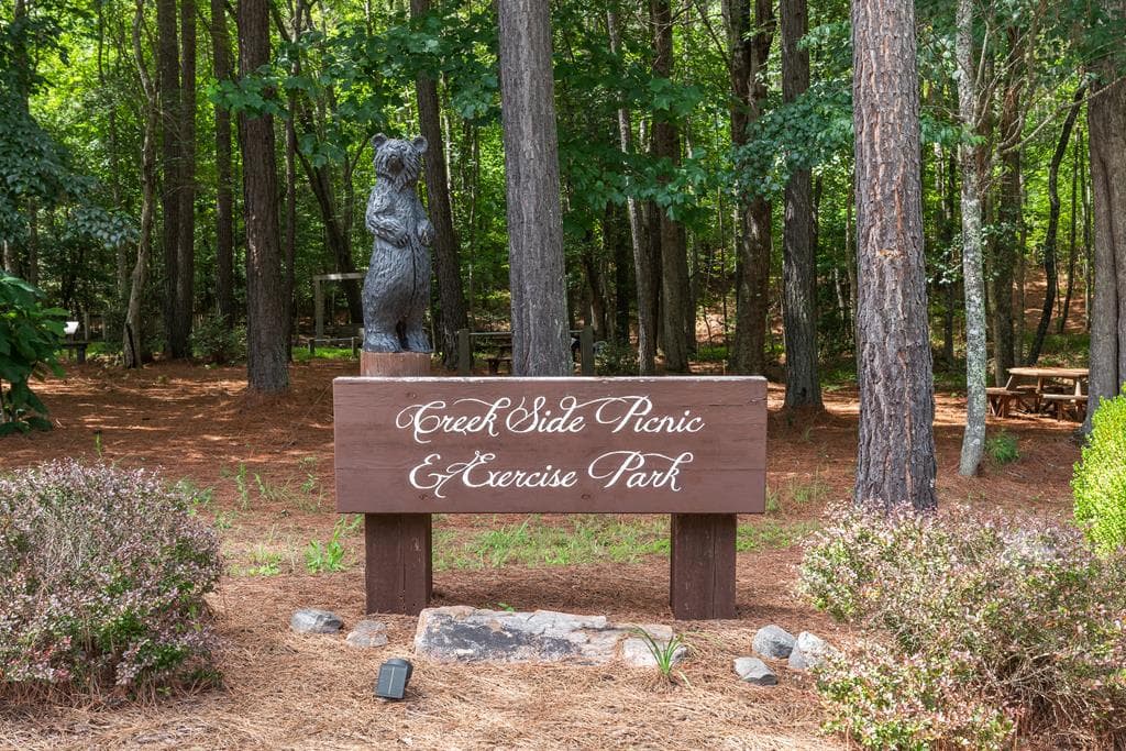 Lot 74 Thirteen Hundred, Blairsville GA 30512 - Photo