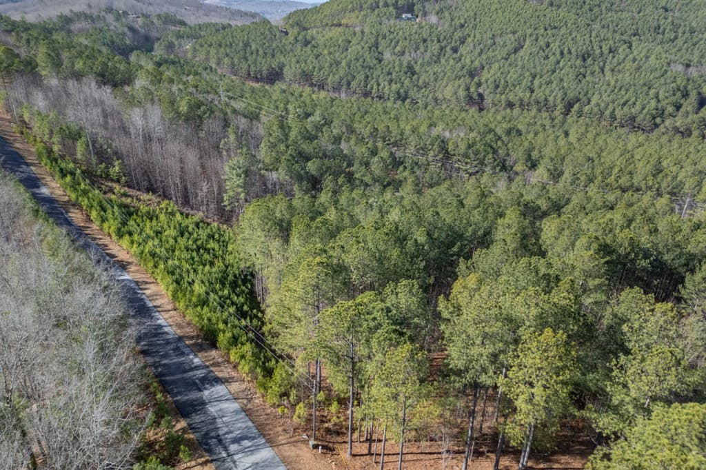 Lot 74 Thirteen Hundred, Blairsville GA 30512 - Photo