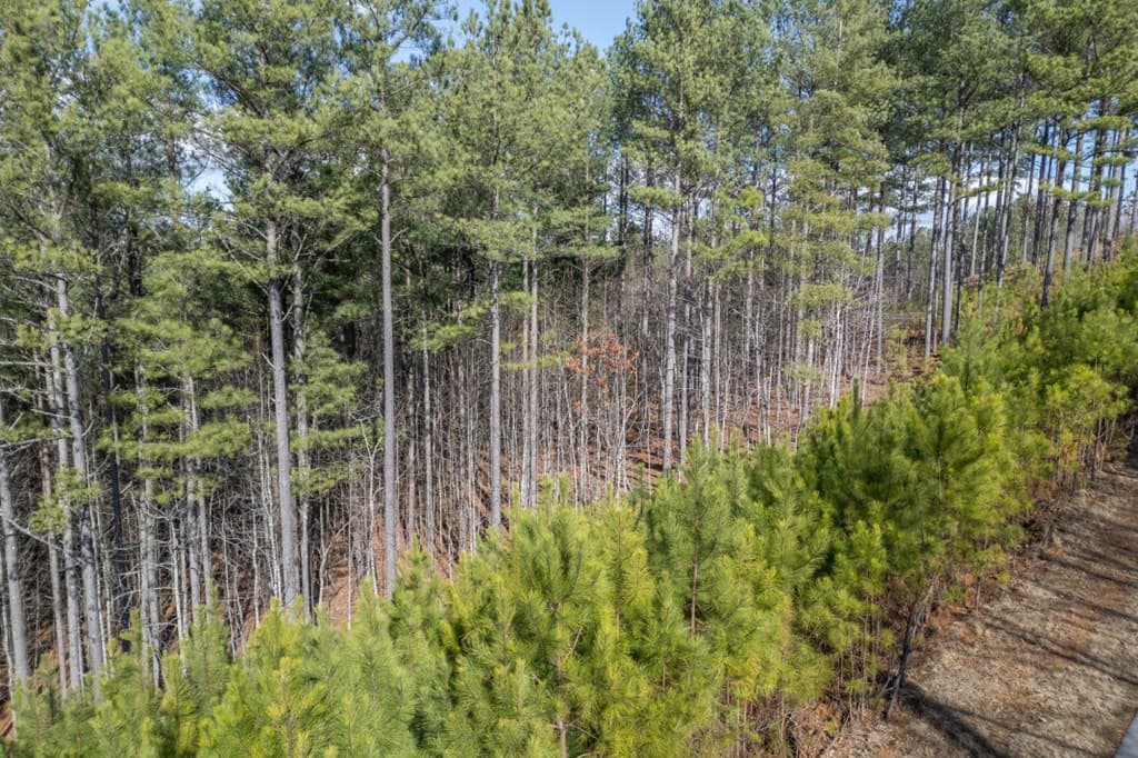 Lot 74 Thirteen Hundred, Blairsville GA 30512 - Photo