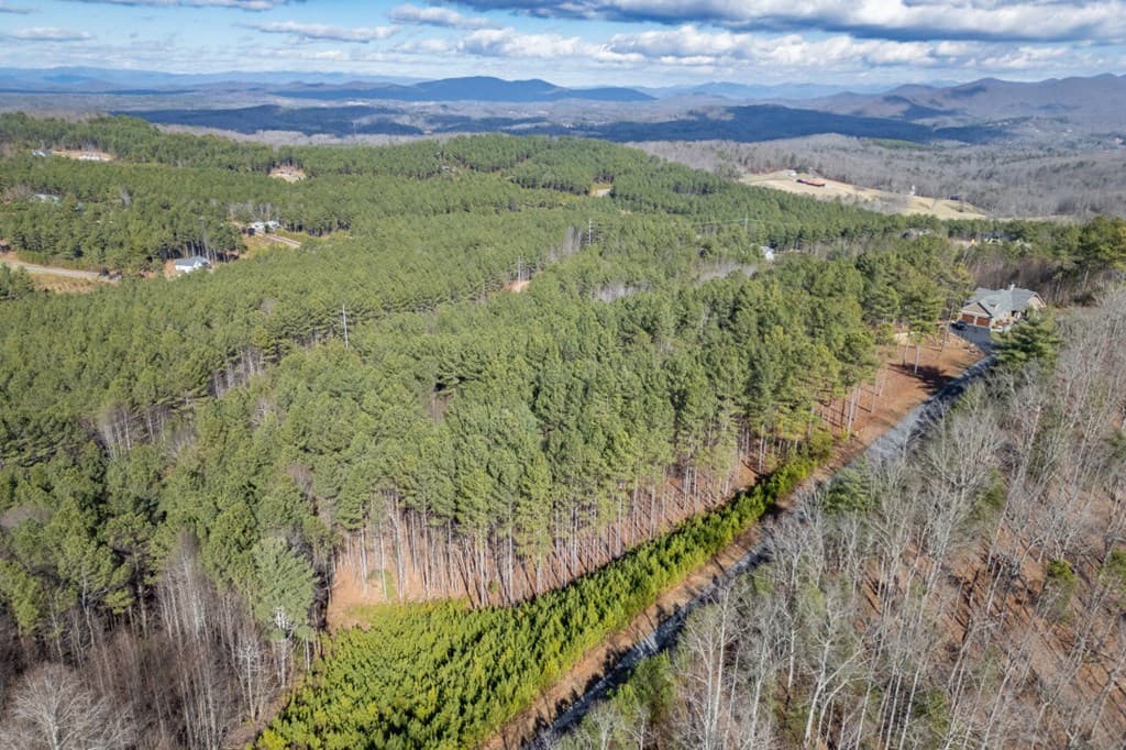 Lot 74 Thirteen Hundred, Blairsville GA 30512 - Photo