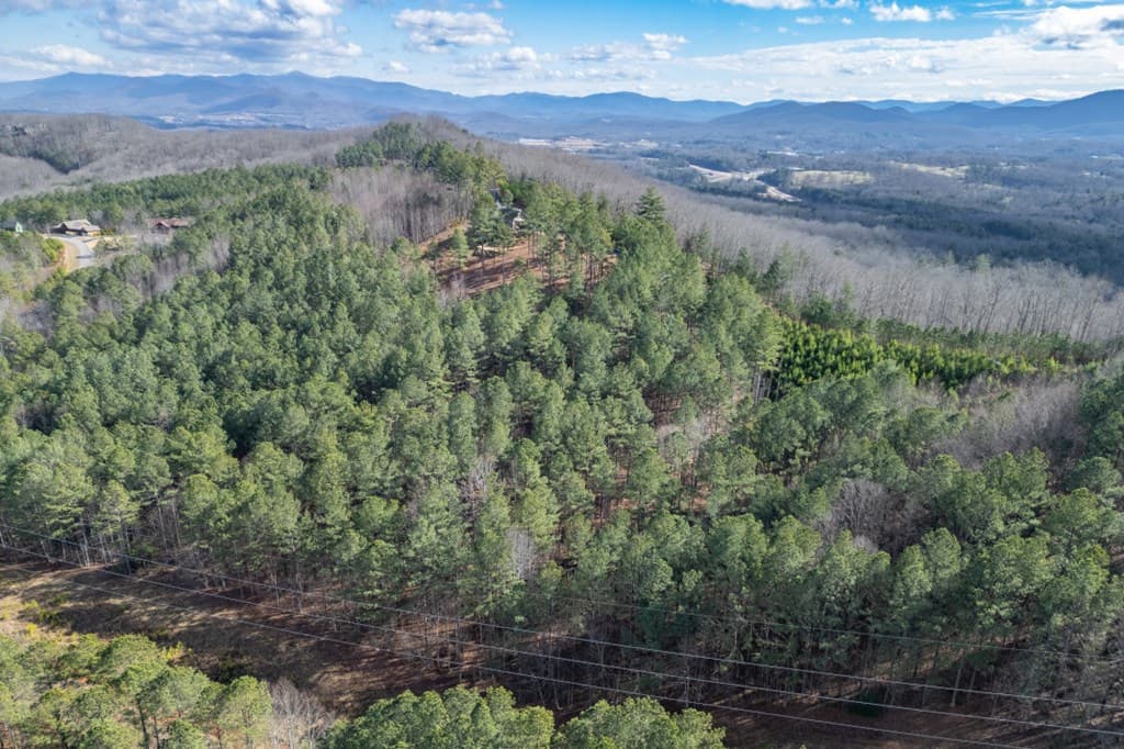 Lot 74 Thirteen Hundred, Blairsville GA 30512 - Photo