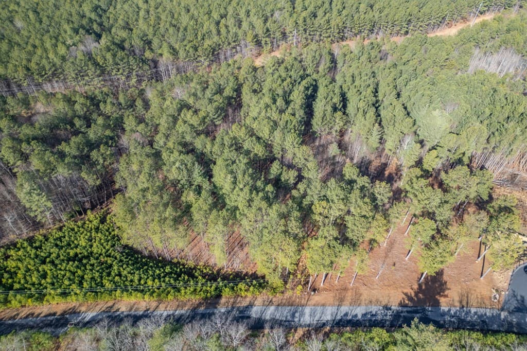 Lot 74 Thirteen Hundred, Blairsville GA 30512 - Photo