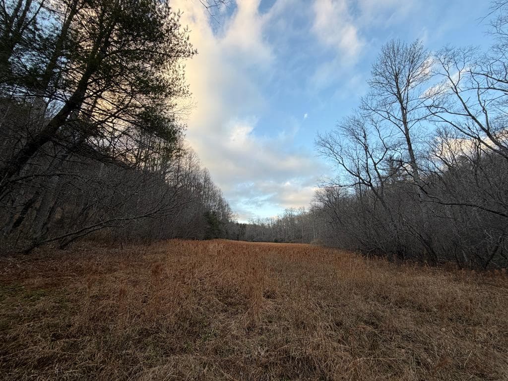 476 Rainbow Road, Suches GA 30572 - Photo