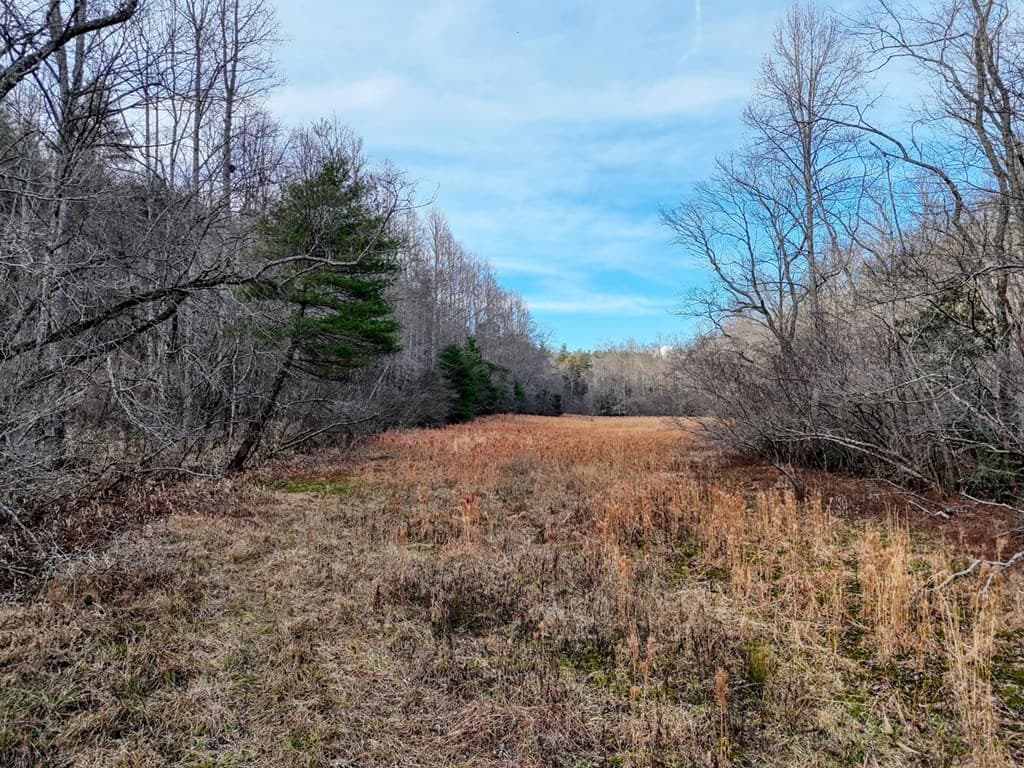 476 Rainbow Road, Suches GA 30572 - Photo