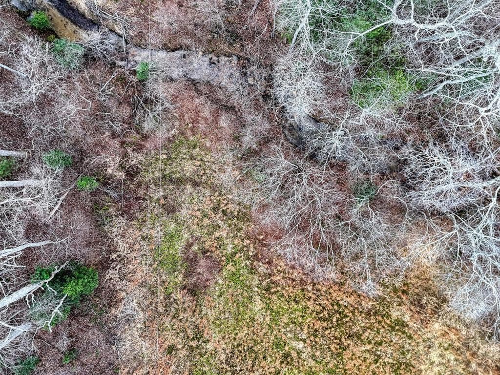 476 Rainbow Road, Suches GA 30572 - Photo