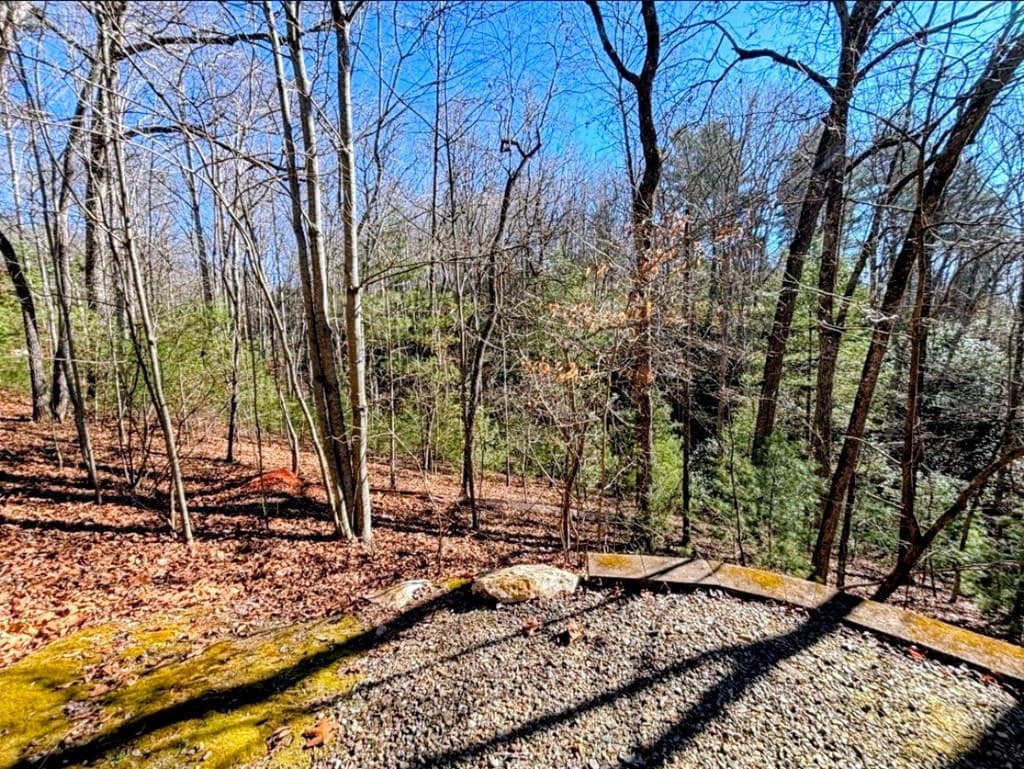 195 Justa Road, Blairsville GA 30512 - Photo