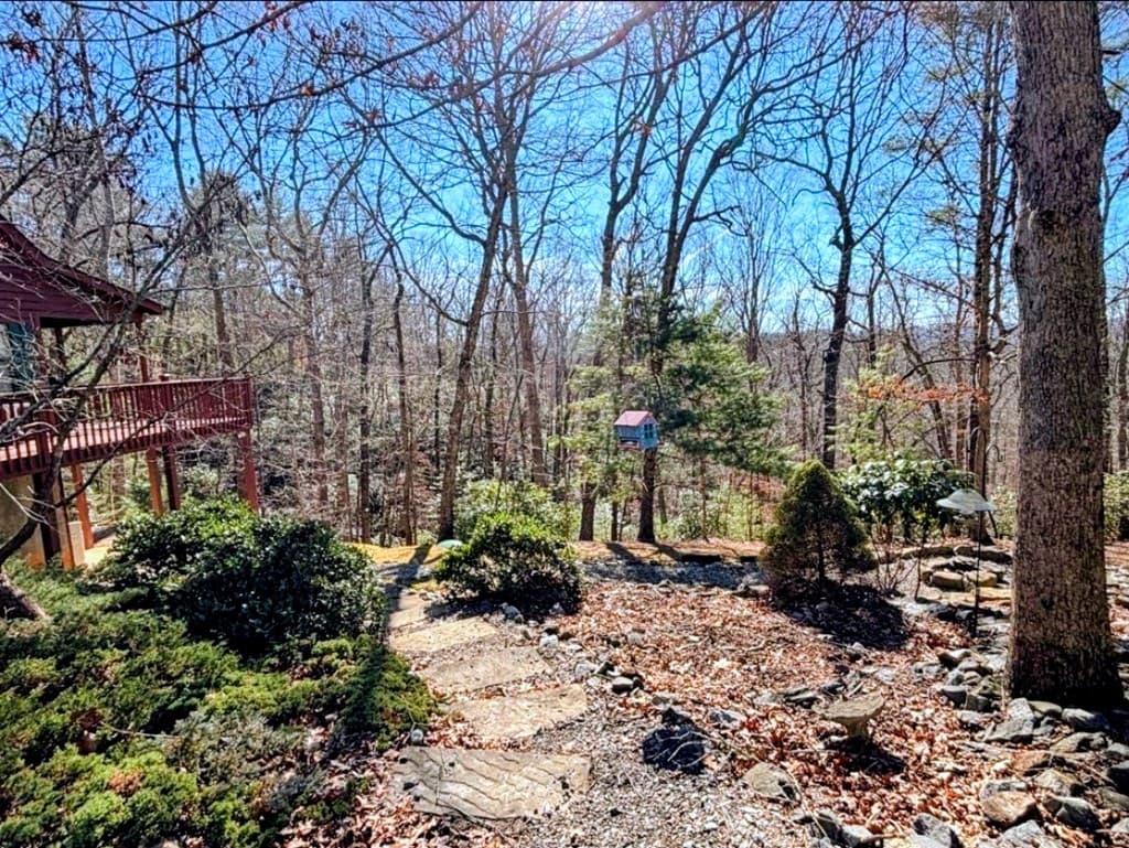 195 Justa Road, Blairsville GA 30512 - Photo