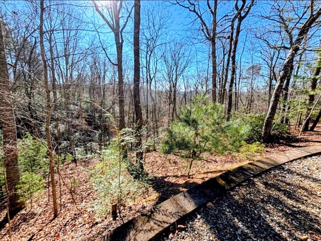 195 Justa Road, Blairsville GA 30512 - Photo