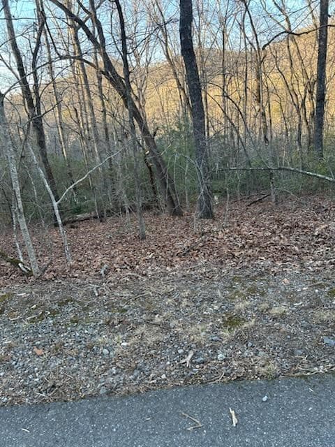 Lot 39 Konahetah Road, Hiawassee GA 30546 - Photo