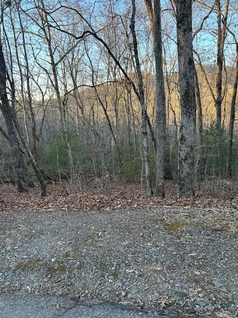 Lot 39 Konahetah Road, Hiawassee GA 30546 - Primary photo