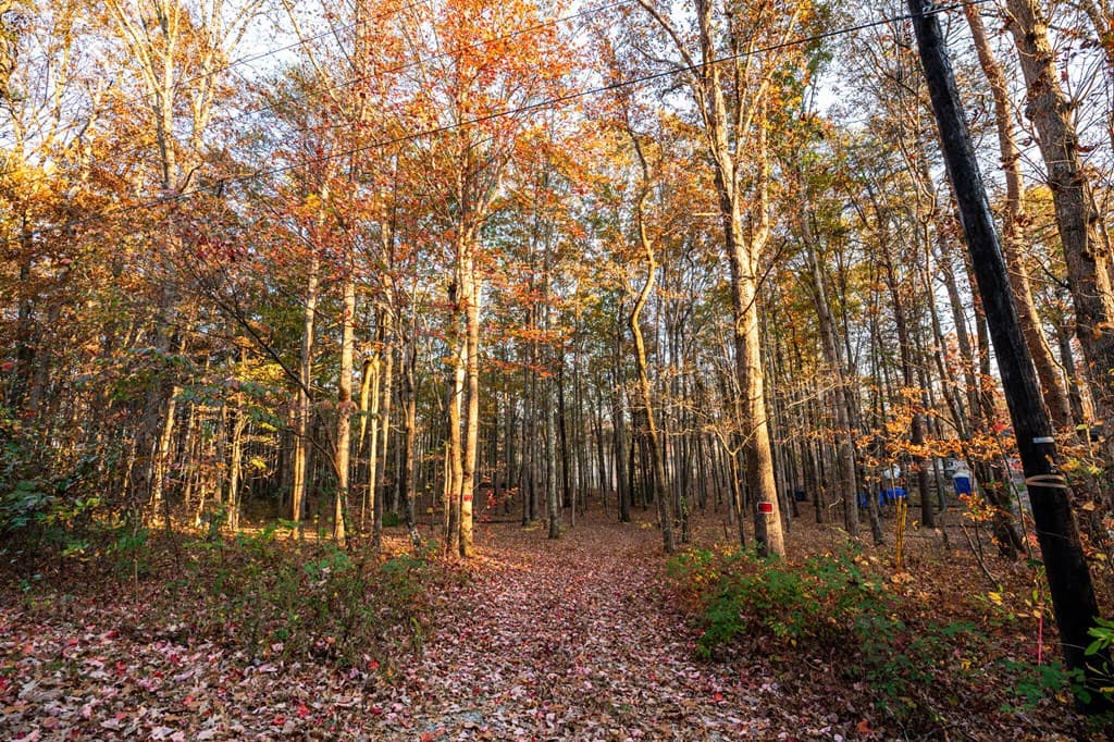 2272 Little Bend Rd, Signal Mountain TN 37377 - Photo