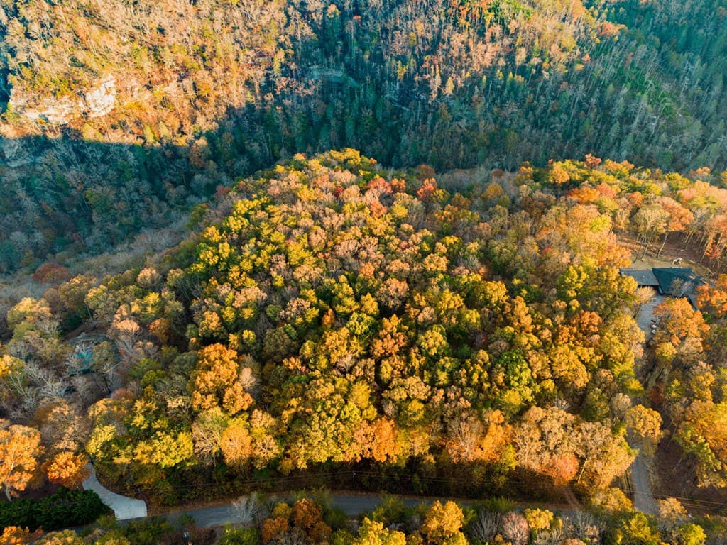 2272 Little Bend Rd, Signal Mountain TN 37377 - Photo