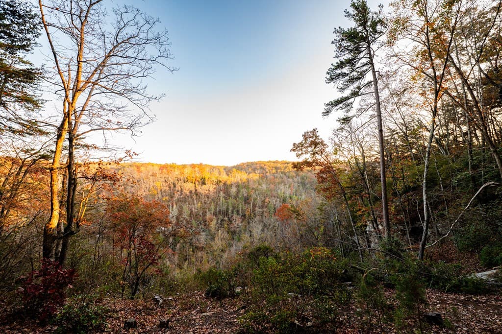 2272 Little Bend Rd, Signal Mountain TN 37377 - Photo