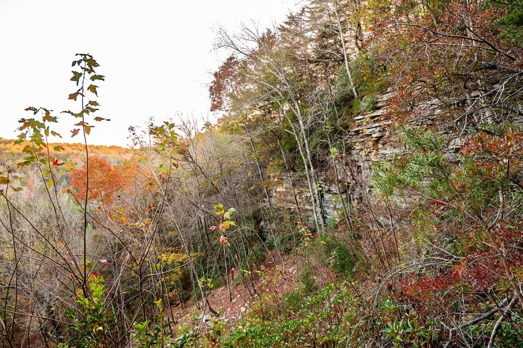 2272 Little Bend Rd, Signal Mountain TN 37377 - Photo