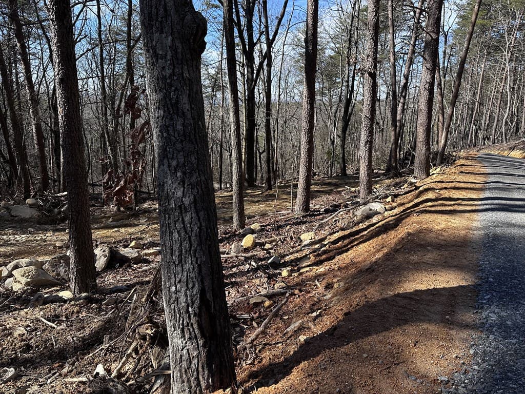 1776 Mulberry Circle, Jasper GA 30143 - Photo