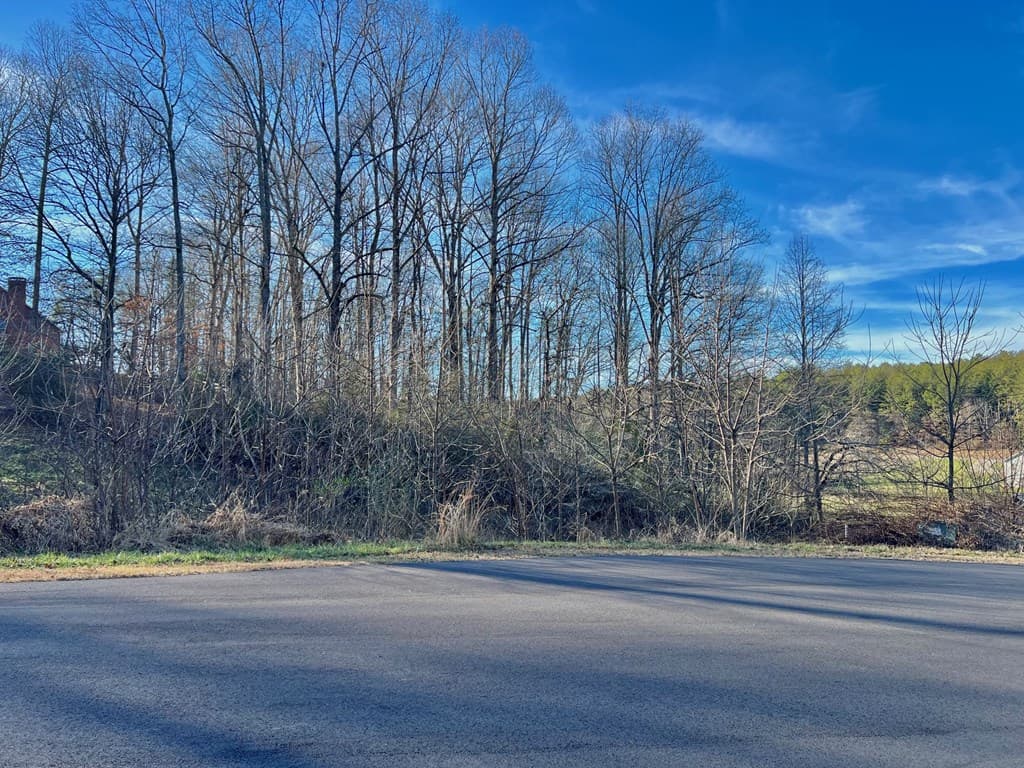 16 Anns Way, Blairsville GA 30512 - Photo