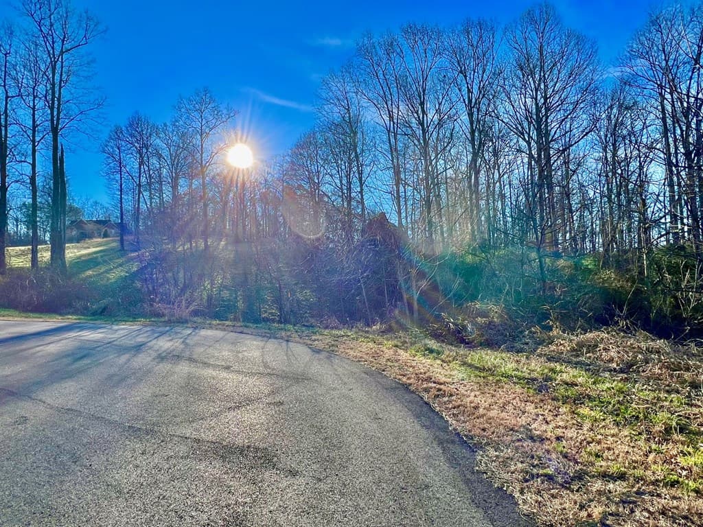 16 Anns Way, Blairsville GA 30512 - Photo