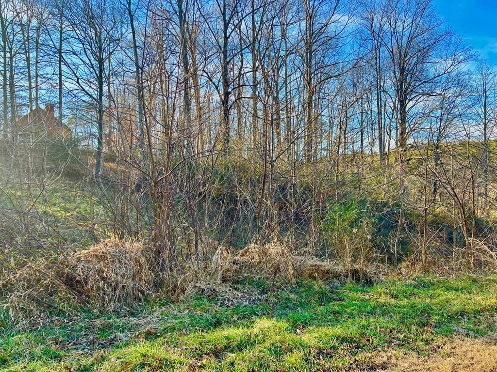16 Anns Way, Blairsville GA 30512 - Photo