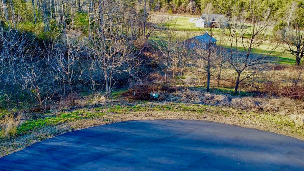 16 Anns Way, Blairsville GA 30512 - Photo