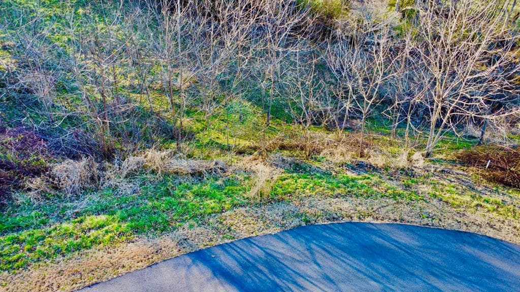 16 Anns Way, Blairsville GA 30512 - Primary photo