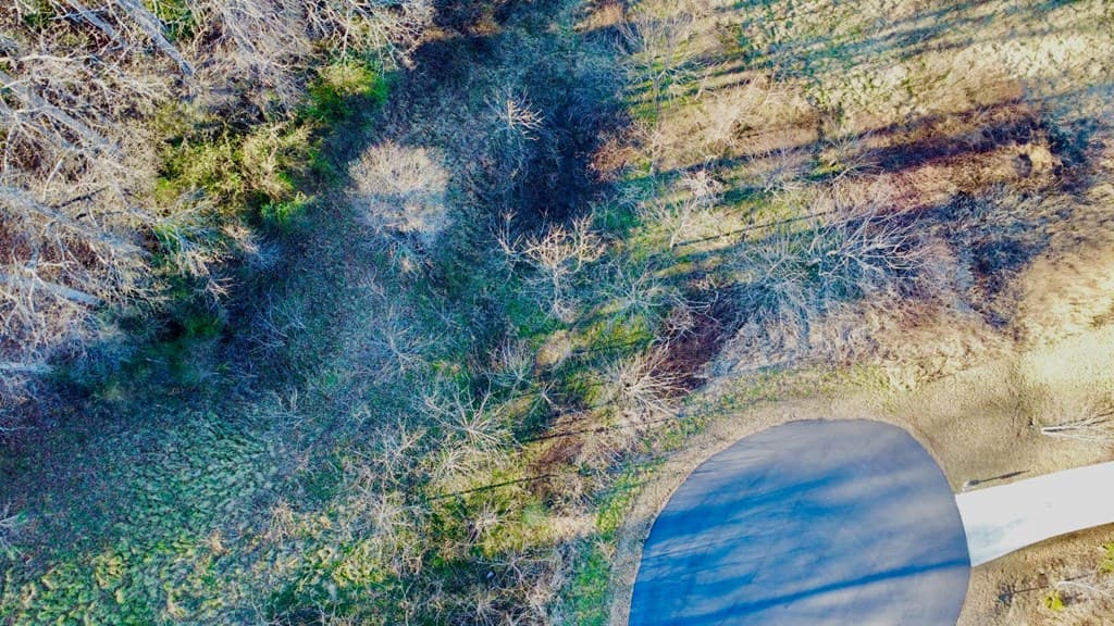 16 Anns Way, Blairsville GA 30512 - Photo
