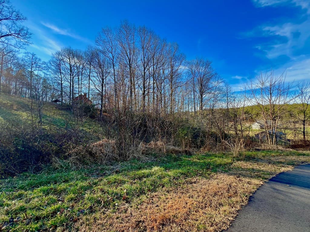 16 Anns Way, Blairsville GA 30512 - Photo