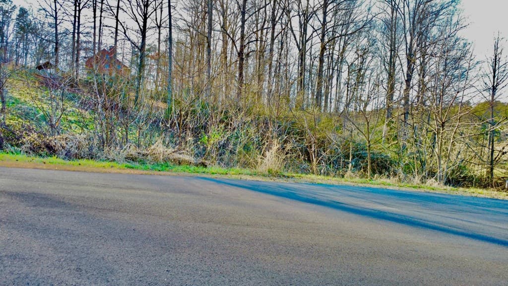 16 Anns Way, Blairsville GA 30512 - Photo