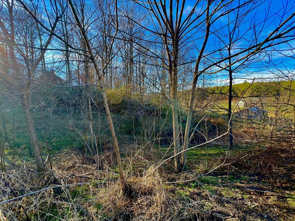 16 Anns Way, Blairsville GA 30512 - Photo