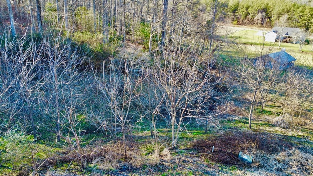 16 Anns Way, Blairsville GA 30512 - Photo