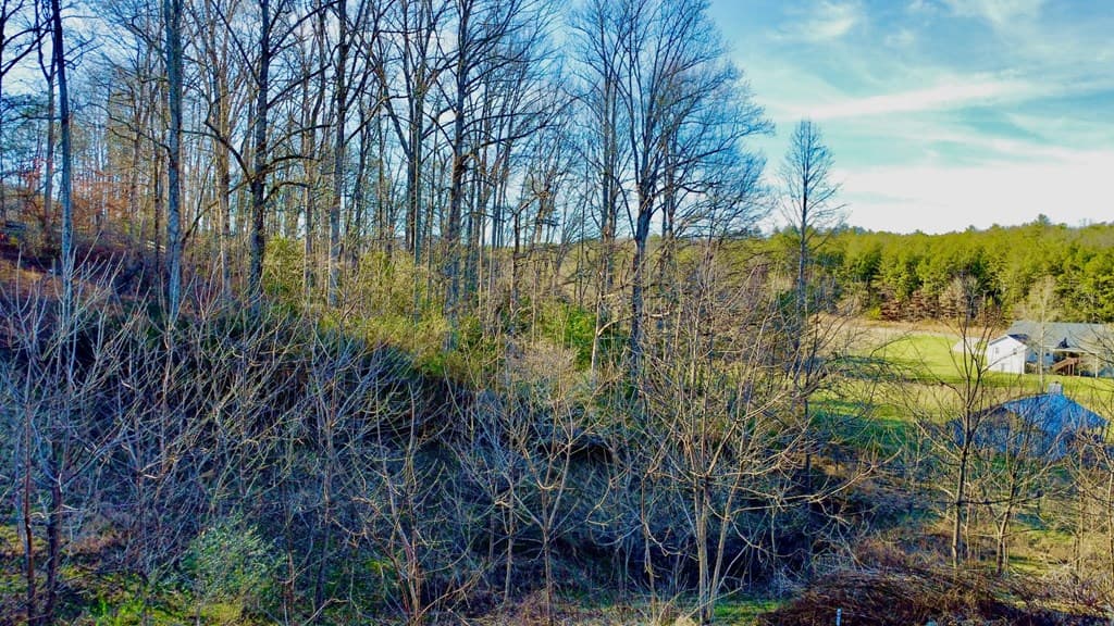 16 Anns Way, Blairsville GA 30512 - Photo