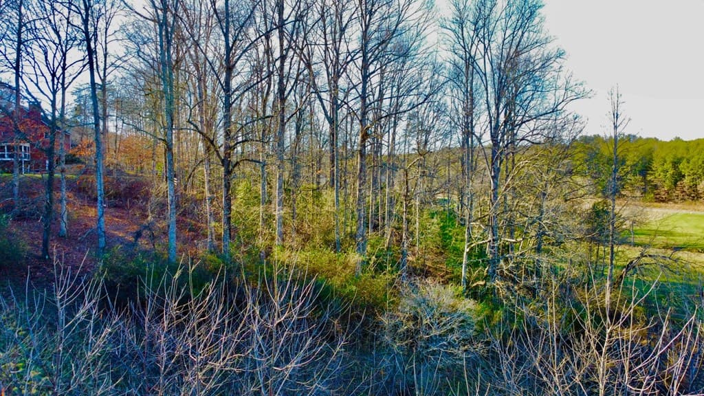 16 Anns Way, Blairsville GA 30512 - Photo