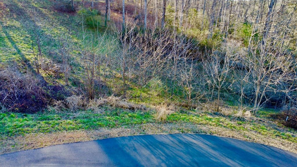 16 Anns Way, Blairsville GA 30512 - Photo