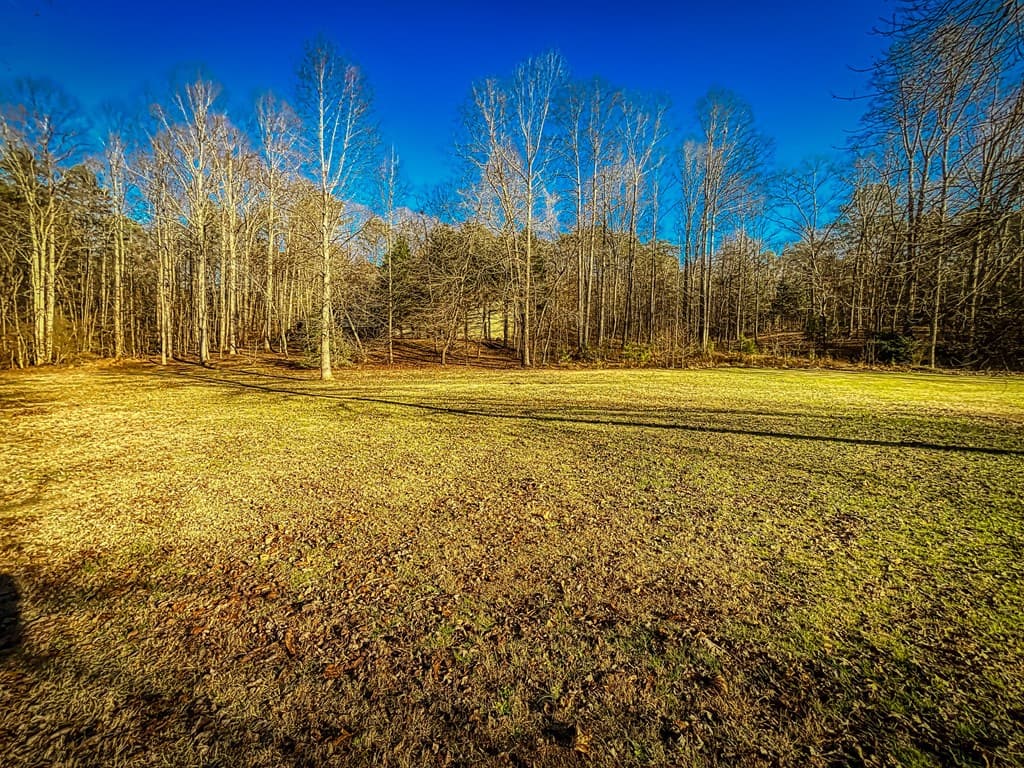 188 Clear Creek Valley Drive, Ellijay GA 30536 - Photo