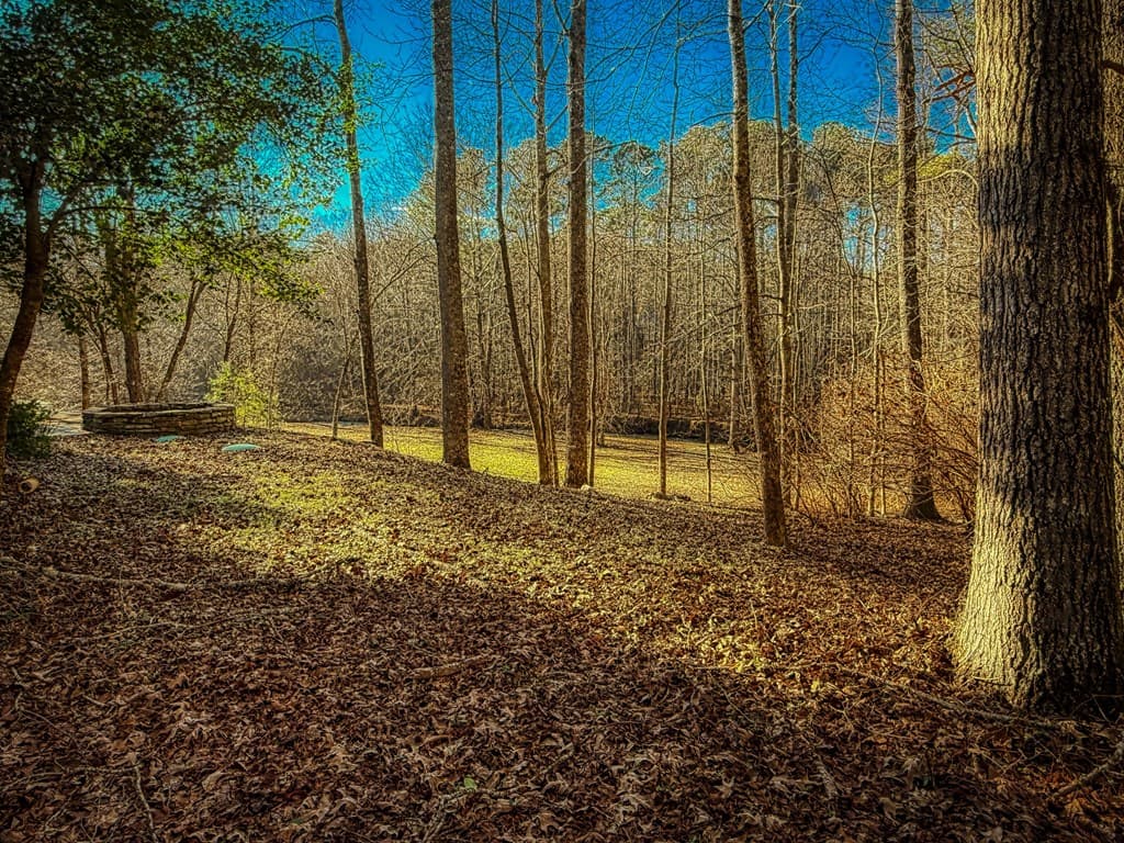 188 Clear Creek Valley Drive, Ellijay GA 30536 - Photo