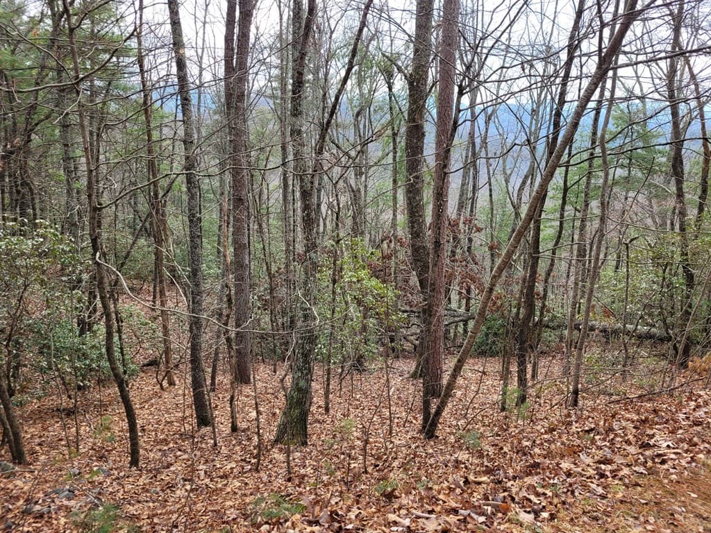 Lot 49 Slate Stone Lane, Hayesville NC 28904 - Photo