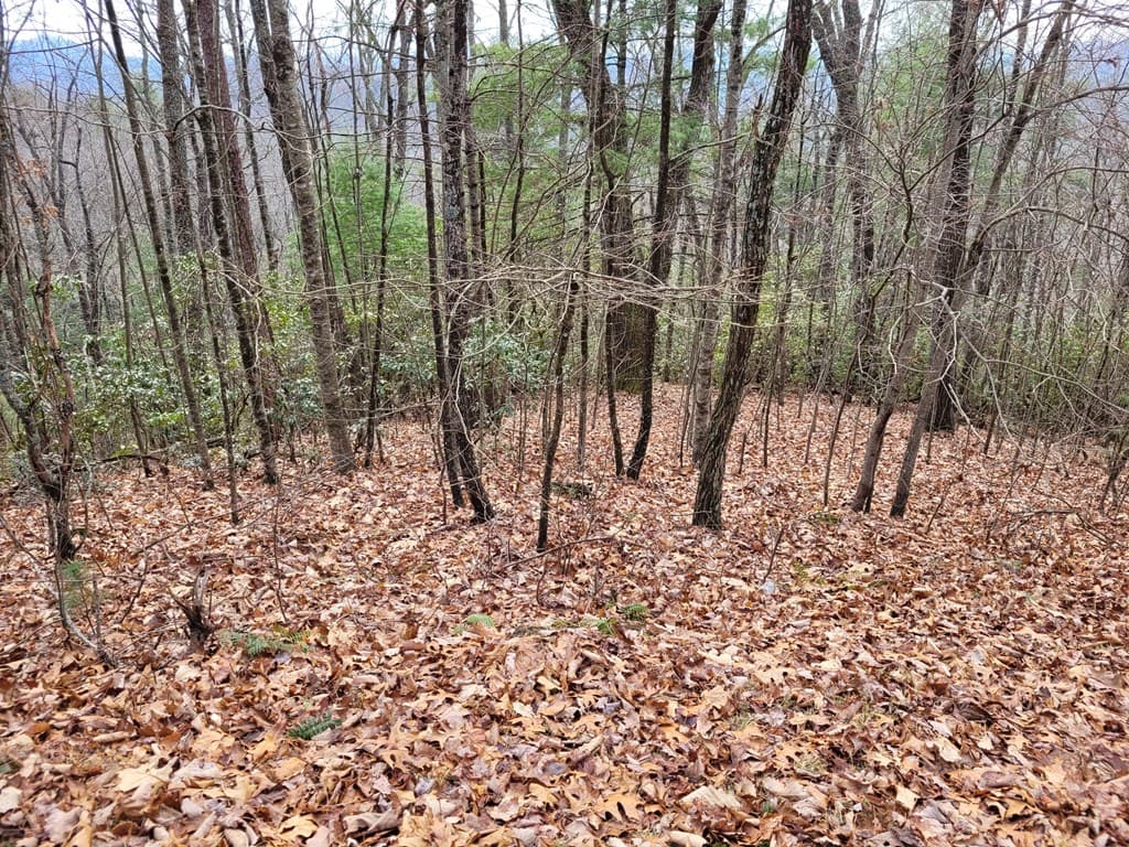 Lot 49 Slate Stone Lane, Hayesville NC 28904 - Photo