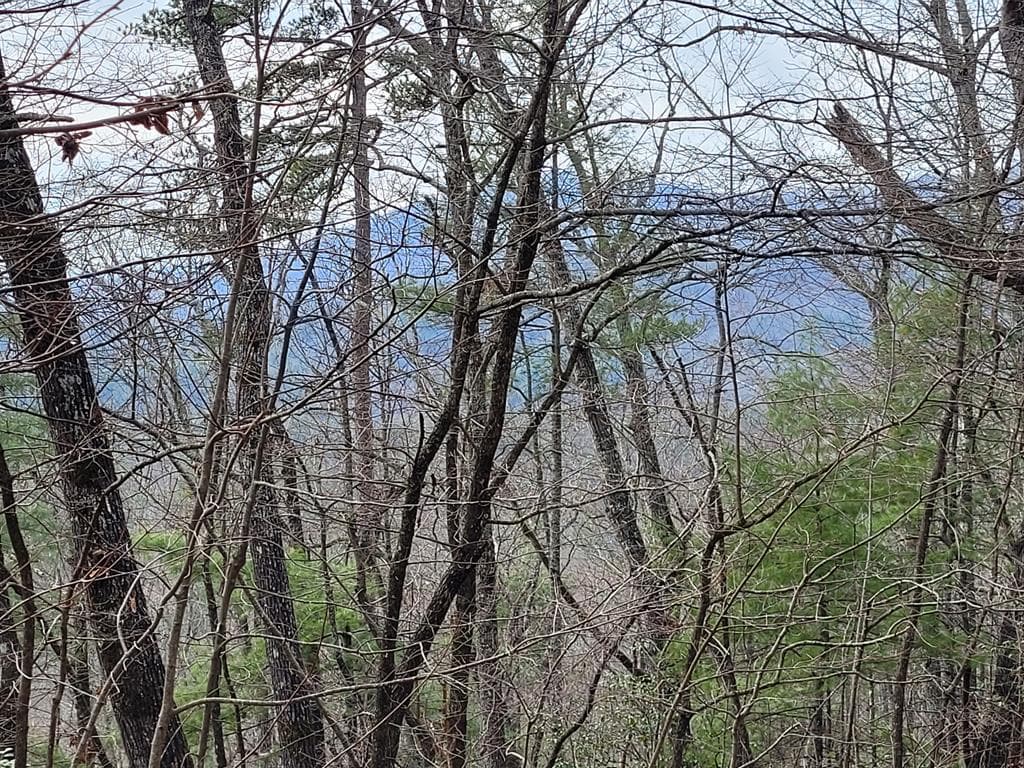 Lot 49 Slate Stone Lane, Hayesville NC 28904 - Primary photo